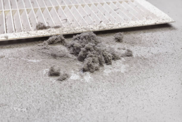 Best Residential Air Duct Cleaning  in Shelton, NE