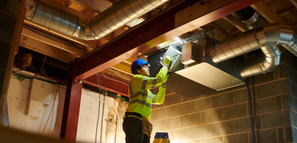 Best Air Vent Cleaning Services  in Shelton, NE