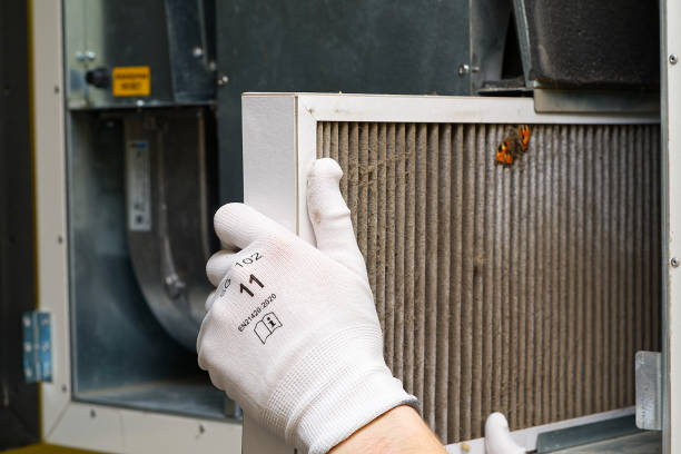 Best Air Duct Sanitizing Services  in Shelton, NE