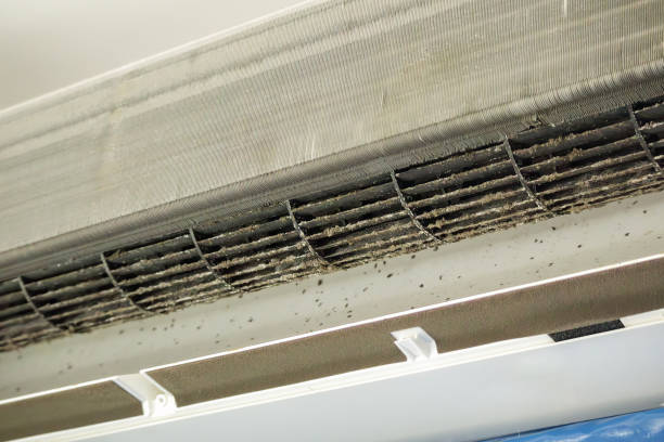 Best Ductwork Cleaning Services  in Shelton, NE