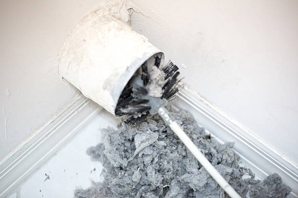 Best Air Duct Cleaning Near Me  in Shelton, NE