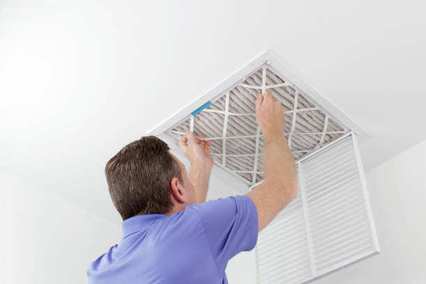 Best Air Duct Cleaning Near Me  in Shelton, NE